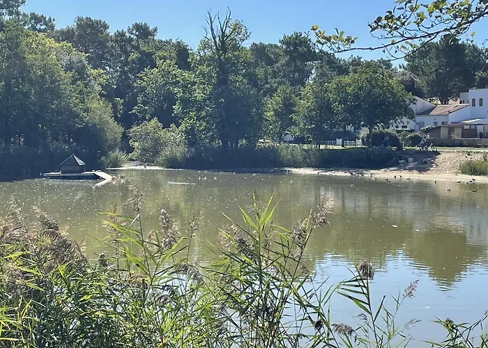 Maison Au Coeur De La La Palmyre * Les Mathes